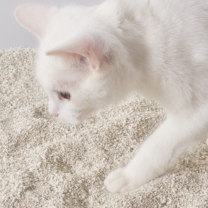 KIRA 矿薯双拼混合砂