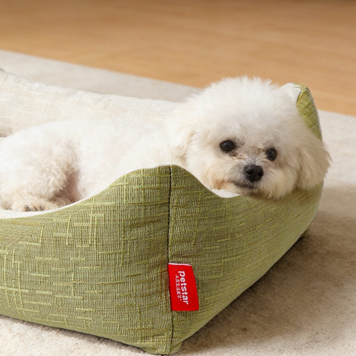 PETSTAR 四季方窝 · 比熊犬