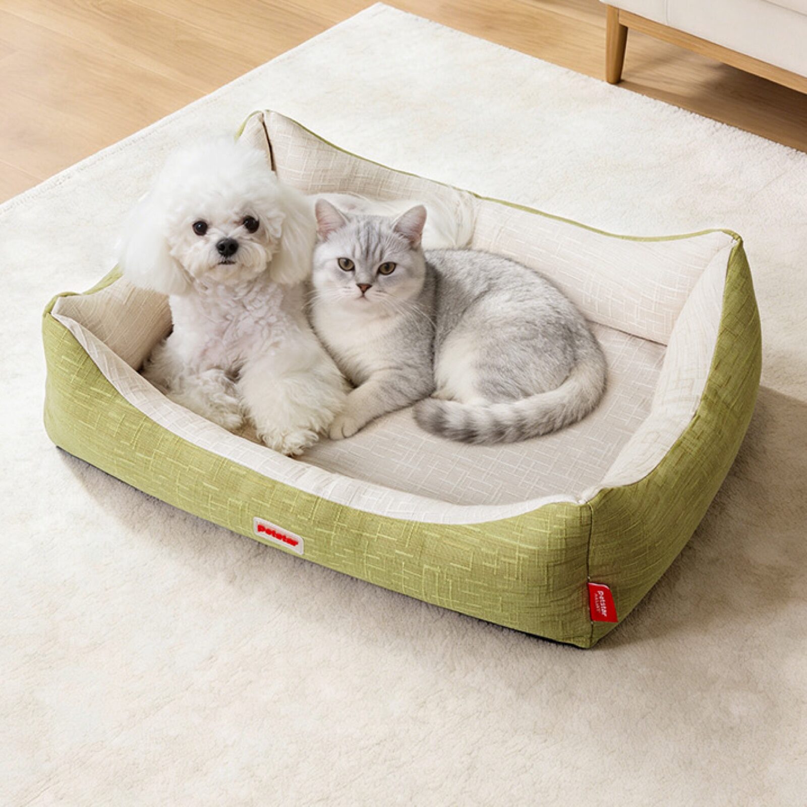 PETSTAR 四季方窝 · 比熊犬与猫咪共享休憩空间