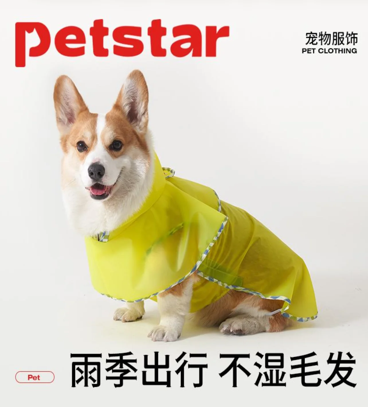宠物运动套装
