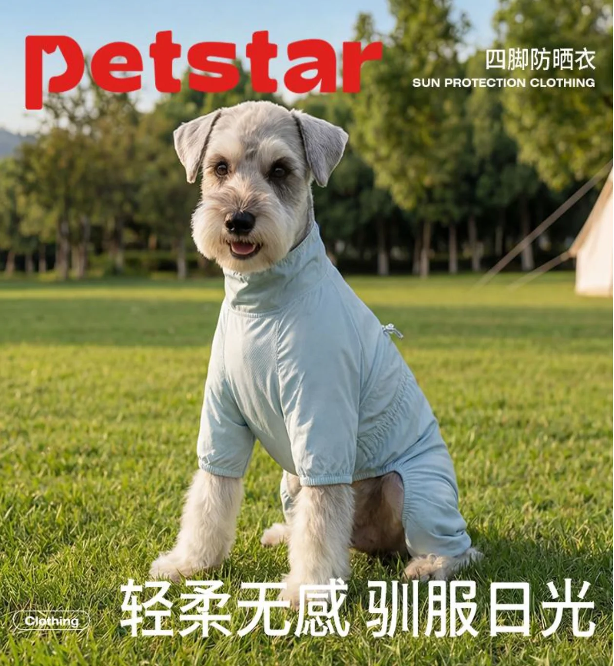 宠物正式礼服