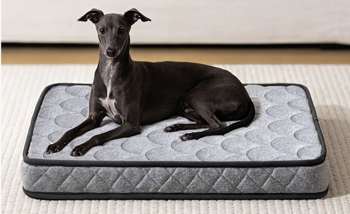 PETSTAR 宠物弹簧床垫