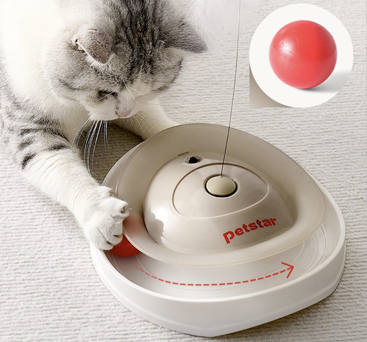 PETSTAR 羽毛转盘玩具