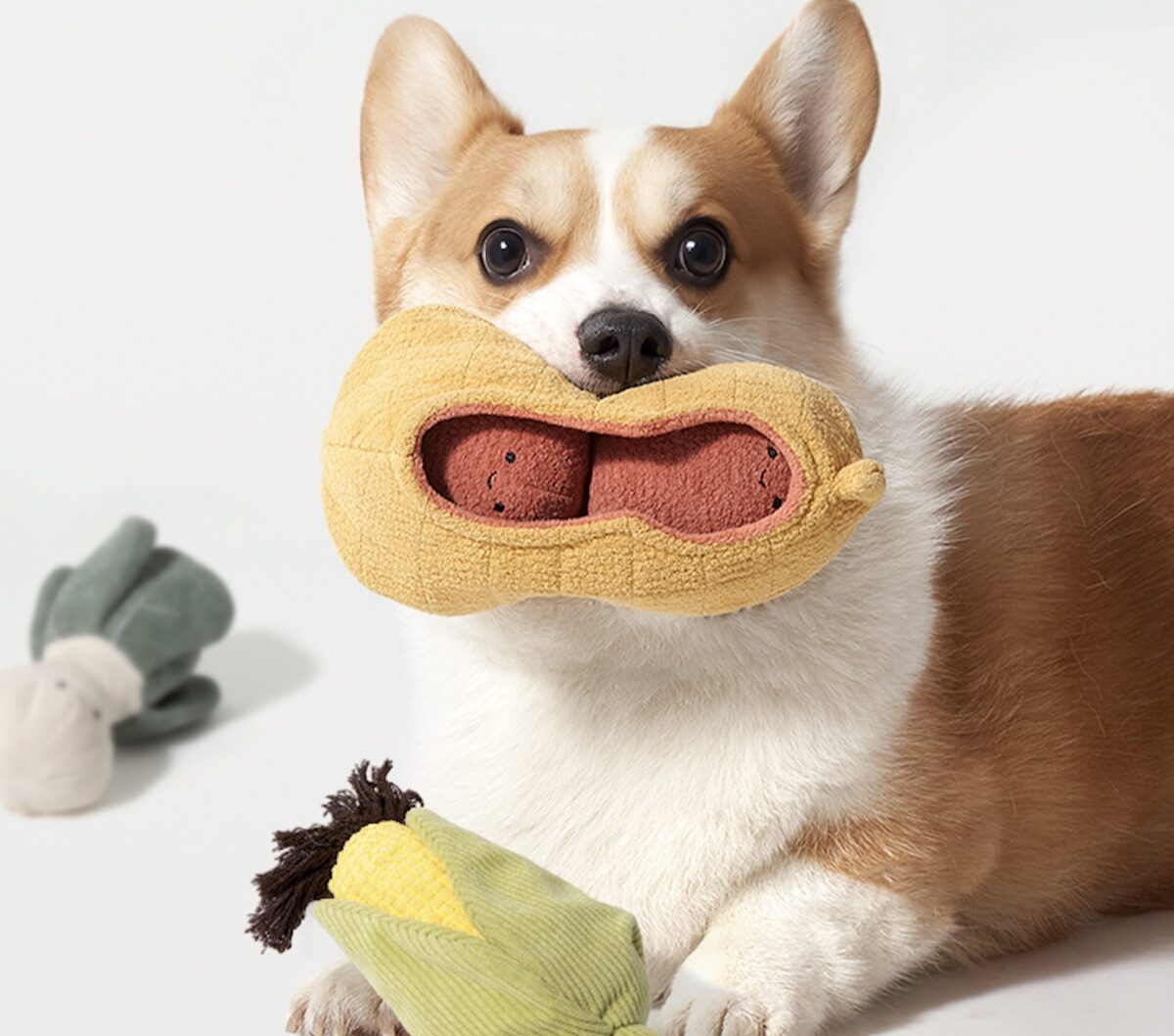 PETSTAR 蔬菜农场玩具套装