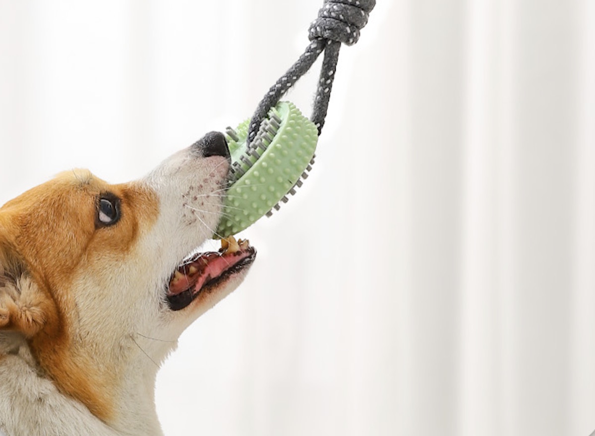 咬胶玩具 PSTR0391
